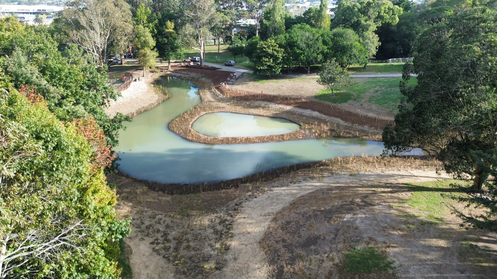 The new meandering wetland channel and island at Hayman Park, freshly planted