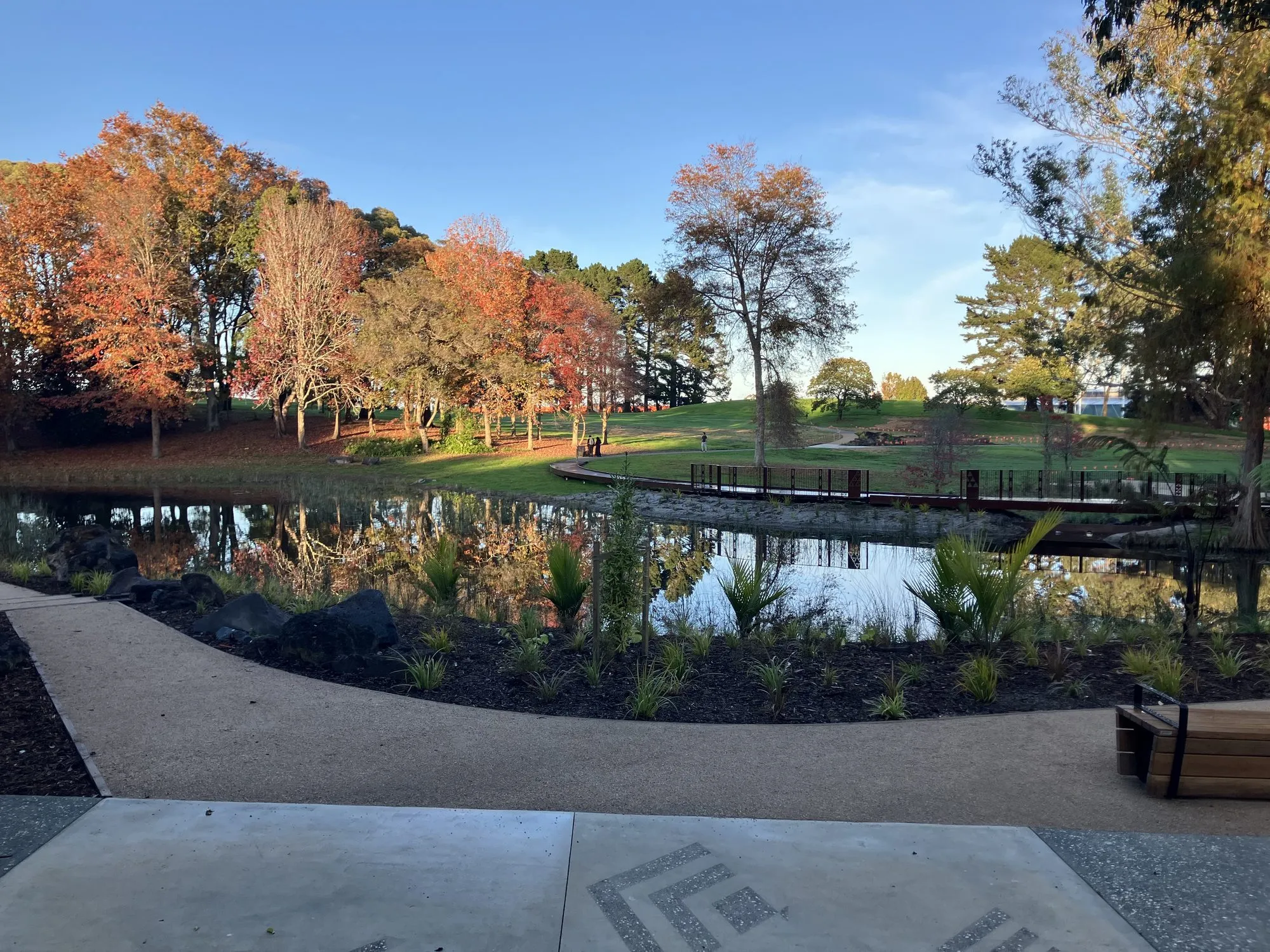 Hayman Park's new wetland in autumn, with the mana whenua patterned paving in the foreground